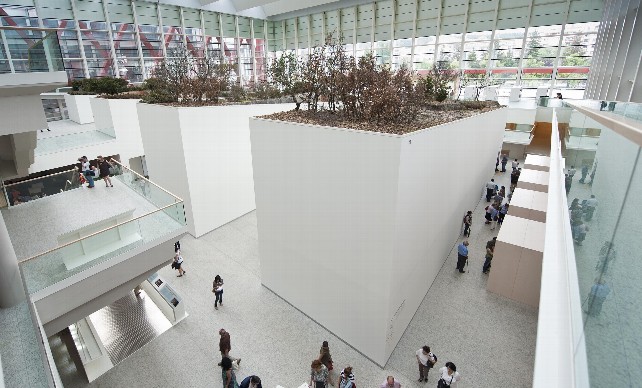 El MEH alcanza su récord histórico de público a la exposición permanente con 170.000 visitantes